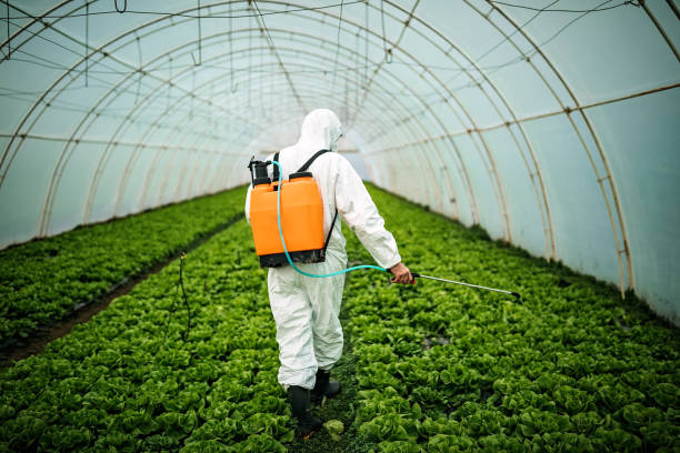 Best Pest Prevention Services  in Lamoni, IA