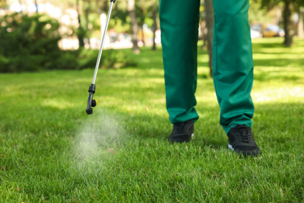 Pest Control for Restaurants in Lamoni, IA