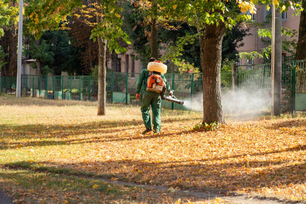 Best Bed Bug Extermination  in Lamoni, IA